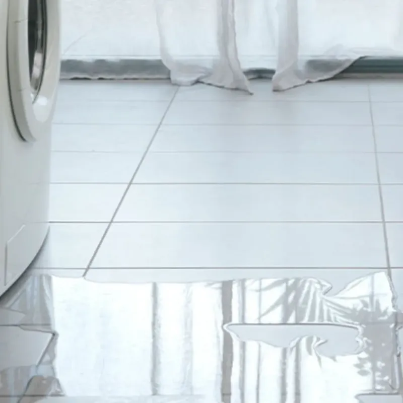 Appliance Leak Cleanup in South Holland, IL