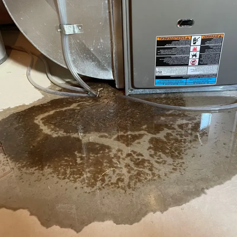 Pipe Burst and Leak Restoration in South Holland, IL
